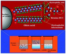 Graphical abstract: Highly water-dispersible surface-functionalized LSMO nanoparticles for magnetic fluid hyperthermia application