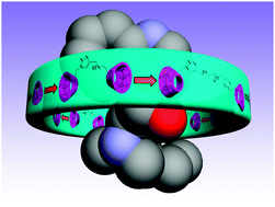 Graphical abstract: Molecular binding behaviors of triazole-bridged bis(β-cyclodextrin)s towards cinchona alkaloids