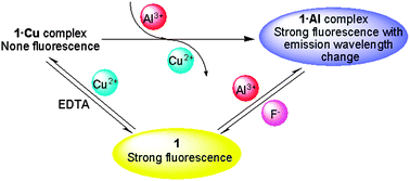 Graphical abstract: A dual-model and on–off fluorescent Al3+/Cu2+-chemosensor and the detection of F−/Al3+ with ‘in situ’ prepared Al3+/Cu2+ complexes