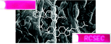 Graphical abstract: Spiropyran–cholesterol conjugate as a photoresponsive organogelator
