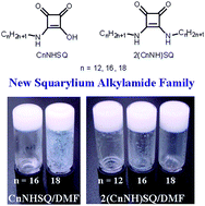 Graphical abstract: Synthesis of a new squarylium alkylamide family and its organogelation ability