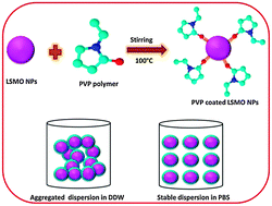 Graphical abstract: Studies on colloidal stability of PVP-coated LSMO nanoparticles for magnetic fluid hyperthermia