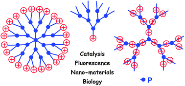Graphical abstract: Positively charged phosphorus dendrimers. An overview of their properties
