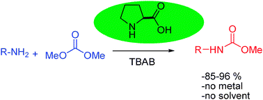 Graphical abstract: l-Proline–TBAB-catalyzed phosgene free synthesis of methyl carbamates from amines and dimethyl carbonate