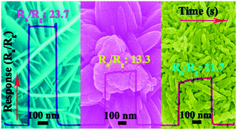 Graphical abstract: Fabrication of flower-like ZnO nanosheet and nanorod-assembled hierarchical structures and their enhanced performance in gas sensors