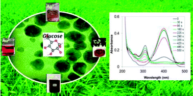 Graphical abstract: Green and easily scalable microwave synthesis of noble metal nanosols (Au, Ag, Cu, Pd) usable as catalysts