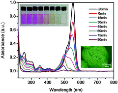 Graphical abstract: Green synthesis of flower-like Bi2WO6 microspheres as a visible-light-driven photocatalyst