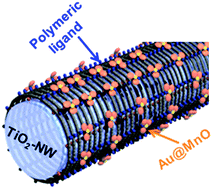 Graphical abstract: Rational assembly and dual functionalization of Au@MnO heteroparticles on TiO2 nanowires