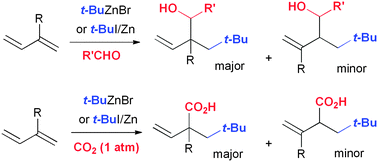 Graphical abstract: C–C bond formation via 1,2-addition of a tert-butylzinc reagent and carbonyls across conjugated dienes