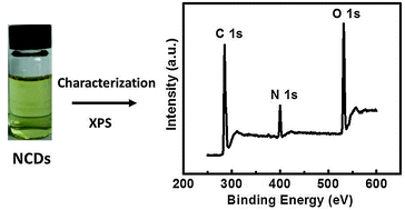 Graphical abstract: Facile synthesis and optical properties of nitrogen-doped carbon dots