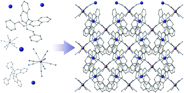 Graphical abstract: Syntheses, structures and magnetic properties of two-dimensional chiral coordination polymers based on a tetradentate chiral ligand