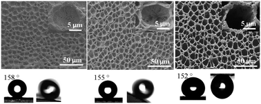 Graphical abstract: A facile approach for preparing biomimetic polymer macroporous structures with petal or lotus effects