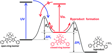 Graphical abstract: Alkyl substituent effects in photochemical and thermal reactions of photochromic thiophene-S,S-dioxidized diarylethenes