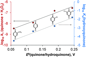 Graphical abstract: Kinetic studies of hydroxyquinone formation from water soluble benzoquinones