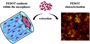 Graphical abstract: PEDOT nanostructures synthesized in hexagonal mesophases
