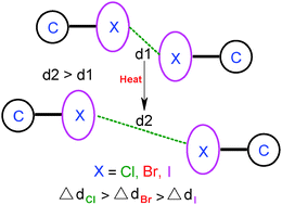 Graphical abstract: The effect of temperature on interhalogen interactions in a series of isostructural organic systems