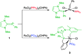 Graphical abstract: Reactivity study of low-coordinate phosphaalkene IMes [[double bond, length as m-dash]] PPh with Grubbs first-generation ruthenium benzylidene complexes