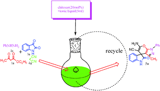 Graphical abstract: Chitosan/ionic liquid forms a renewable and reusable catalyst system used for the synthesis of highly functionalized spiro derivatives