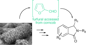 Graphical abstract: A mild entry to isoindolinones from furfural as renewable resource