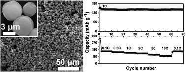 Graphical abstract: Acid-assisted synthesis of dandelion-like rutile TiO2 and Li4Ti5O12 mesoporous spheres: towards an efficient lithium battery application
