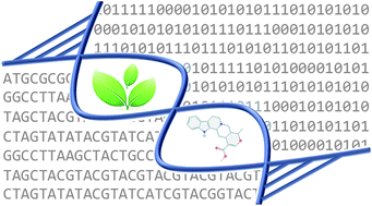 Graphical abstract: Bioinformatics challenges in de novo transcriptome assembly using short read sequences in the absence of a reference genome sequence
