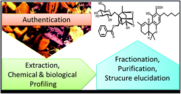 Graphical abstract: Natural product isolation – how to get from biological material to pure compounds