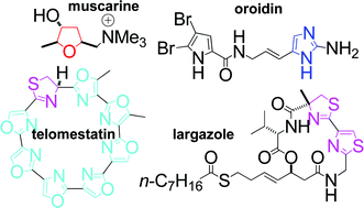 Graphical abstract: Muscarine, imidaozle, oxazole and thiazole alkaloids