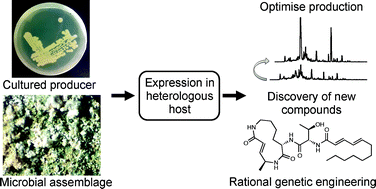 Graphical abstract: Recent advances in the heterologous expression of microbial natural product biosynthetic pathways