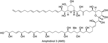 Graphical abstract: Isolation, structural determination and synthetic approaches toward amphidinol 3