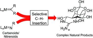 Graphical abstract: Efficient synthesis strategies by application of transition metal-catalyzed carbene/nitrene insertions into C–H bonds