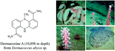 Graphical abstract: Recent advances in deep-sea natural products