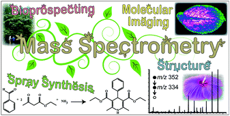 Graphical abstract: Emerging capabilities of mass spectrometry for natural products