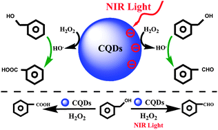 Graphical abstract: Near-infrared light controlled photocatalytic activity of carbon quantum dots for highly selective oxidation reaction