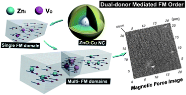 Graphical abstract: Dual-donor (Zni and VO) mediated ferromagnetism in copper-doped ZnO micron-scale polycrystalline films: a thermally driven defect modulation process