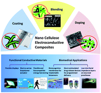 Graphical abstract: Nanocellulose electroconductive composites
