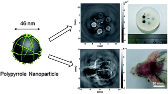 Graphical abstract: Biocompatible polypyrrole nanoparticles as a novel organic photoacoustic contrast agent for deep tissue imaging