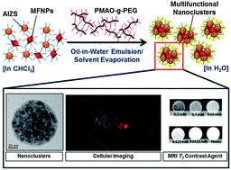 Graphical abstract: Multifunctional PEGylated nanoclusters for biomedical applications