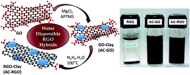 Graphical abstract: Amphiphilic aminoclay–RGO hybrids: a simple strategy to disperse a high concentration of RGO in water