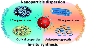Graphical abstract: Liquid crystalline thermotropic and lyotropic nanohybrids