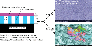 Graphical abstract: Interface interaction induced ultra-dense nanoparticles assemblies