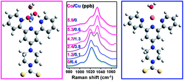 Graphical abstract: Simultaneous SERS detection of copper and cobalt at ultratrace levels
