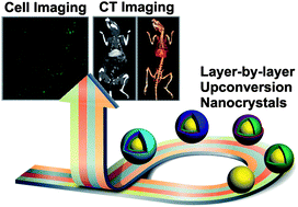 Graphical abstract: Aqueous phase synthesis of upconversion nanocrystals through layer-by-layer epitaxial growth for in vivo X-ray computed tomography