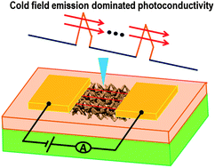 Graphical abstract: Cold field emission dominated photoconductivity in ordered three-dimensional assemblies of octapod-shaped CdSe/CdS nanocrystals