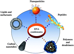 Graphical abstract: Nanostructure-induced DNA condensation