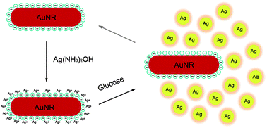 Graphical abstract: An ultrasensitive, non-enzymatic glucose assay via gold nanorod-assisted generation of silver nanoparticles