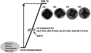 Graphical abstract: Preparation of superparamagnetic MnxFe1−xO nanoparticles from low-index-facet cubes to high-index-facet concave structures and their catalytic performance in aqueous solution