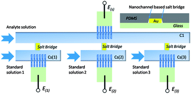 Graphical abstract: A nanochannel based on-line universal logic ion sensing platform