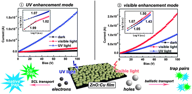 Graphical abstract: Colloidal chemically fabricated ZnO : Cu-based photodetector with extended UV-visible detection waveband