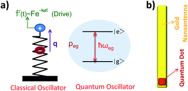 Graphical abstract: Metal nanoparticle plasmons operating within a quantum lifetime
