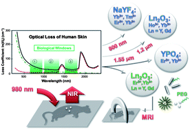 Graphical abstract: Upconverting and NIR emitting rare earth based nanostructures for NIR-bioimaging